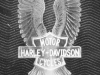 Harley Davidson Logo