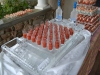 Shooter Holder Display