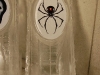 Spider Luge