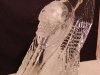 Carved Crystal Skull Luge
