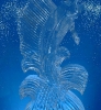 Sailfish