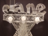 Name With Snowed Roses