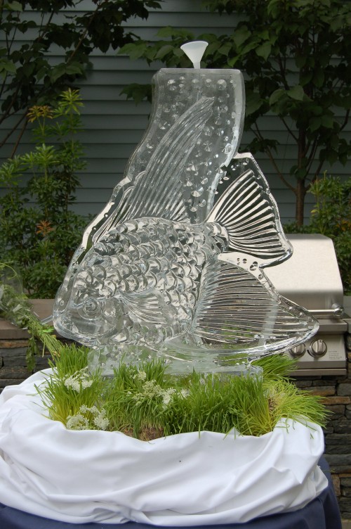 Angel Fish Tube Luge
